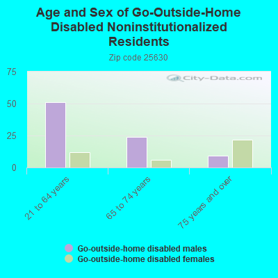 Age and Sex of Go-Outside-Home Disabled Noninstitutionalized Residents