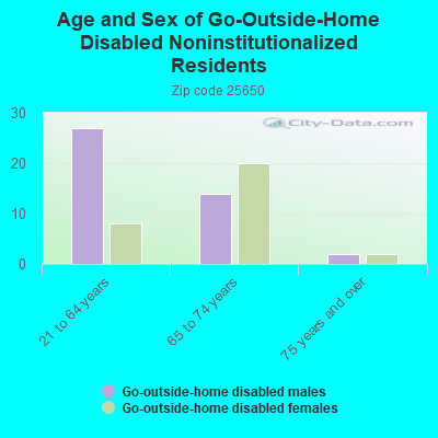 Age and Sex of Go-Outside-Home Disabled Noninstitutionalized Residents