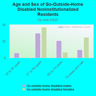 Age and Sex of Go-Outside-Home Disabled Noninstitutionalized Residents