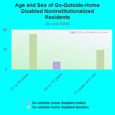 Age and Sex of Go-Outside-Home Disabled Noninstitutionalized Residents