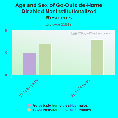 Age and Sex of Go-Outside-Home Disabled Noninstitutionalized Residents