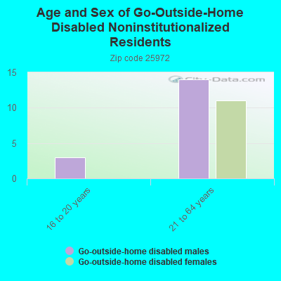 Age and Sex of Go-Outside-Home Disabled Noninstitutionalized Residents