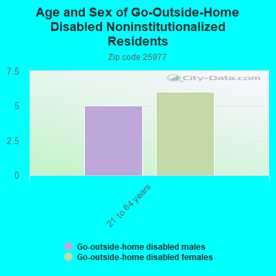 Age and Sex of Go-Outside-Home Disabled Noninstitutionalized Residents