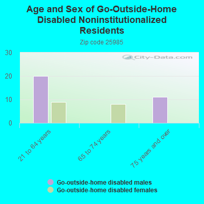 Age and Sex of Go-Outside-Home Disabled Noninstitutionalized Residents