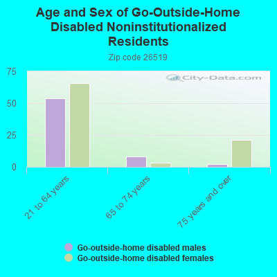 Age and Sex of Go-Outside-Home Disabled Noninstitutionalized Residents