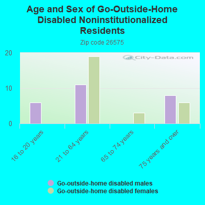 Age and Sex of Go-Outside-Home Disabled Noninstitutionalized Residents