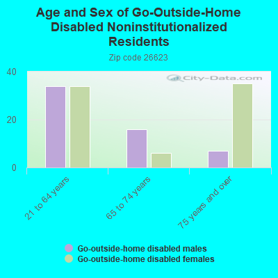 Age and Sex of Go-Outside-Home Disabled Noninstitutionalized Residents