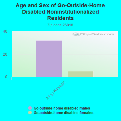 Age and Sex of Go-Outside-Home Disabled Noninstitutionalized Residents