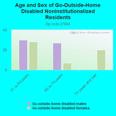 Age and Sex of Go-Outside-Home Disabled Noninstitutionalized Residents