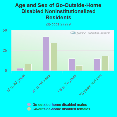 Age and Sex of Go-Outside-Home Disabled Noninstitutionalized Residents