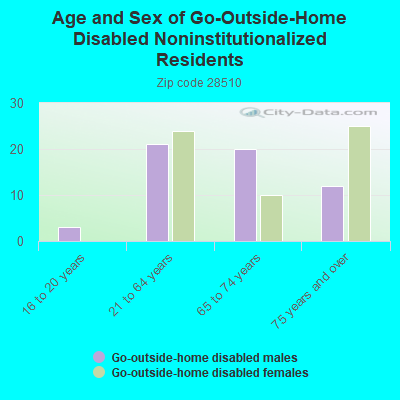 Age and Sex of Go-Outside-Home Disabled Noninstitutionalized Residents