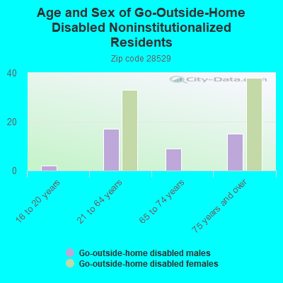 Age and Sex of Go-Outside-Home Disabled Noninstitutionalized Residents