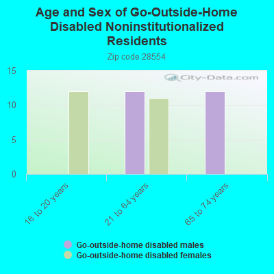 Age and Sex of Go-Outside-Home Disabled Noninstitutionalized Residents