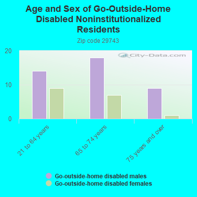 Age and Sex of Go-Outside-Home Disabled Noninstitutionalized Residents