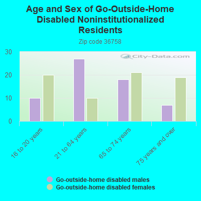 Age and Sex of Go-Outside-Home Disabled Noninstitutionalized Residents