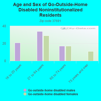 Age and Sex of Go-Outside-Home Disabled Noninstitutionalized Residents