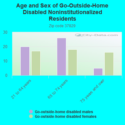 Age and Sex of Go-Outside-Home Disabled Noninstitutionalized Residents