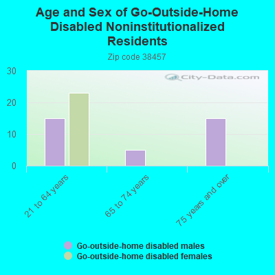 Age and Sex of Go-Outside-Home Disabled Noninstitutionalized Residents