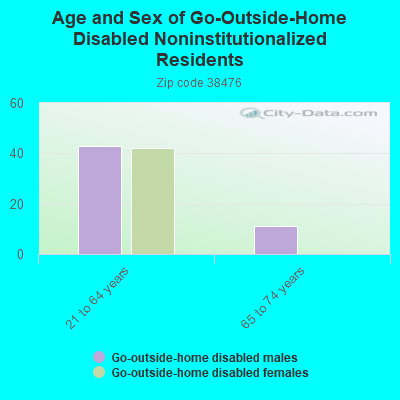 Age and Sex of Go-Outside-Home Disabled Noninstitutionalized Residents