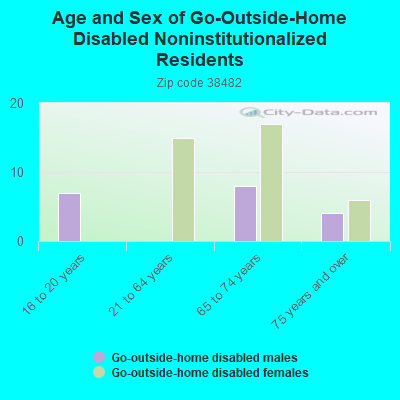 Age and Sex of Go-Outside-Home Disabled Noninstitutionalized Residents