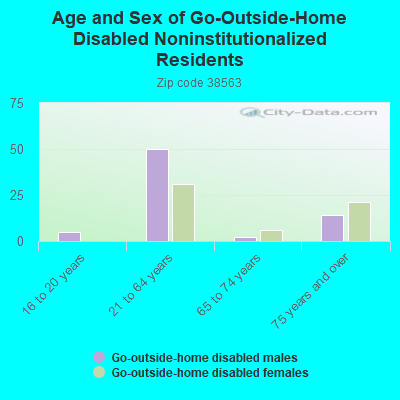 Age and Sex of Go-Outside-Home Disabled Noninstitutionalized Residents