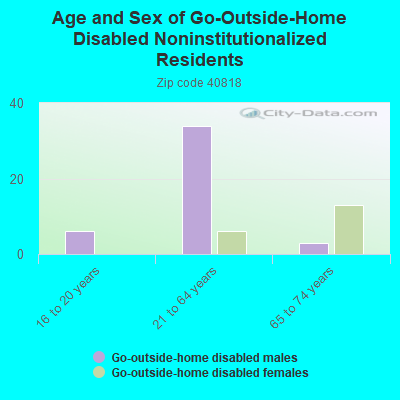 Age and Sex of Go-Outside-Home Disabled Noninstitutionalized Residents