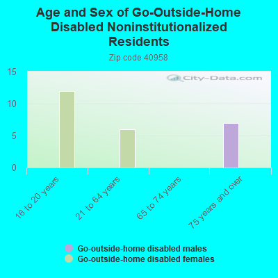 Age and Sex of Go-Outside-Home Disabled Noninstitutionalized Residents