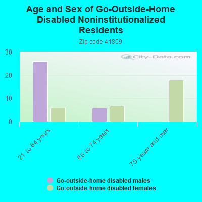 Age and Sex of Go-Outside-Home Disabled Noninstitutionalized Residents