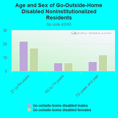 Age and Sex of Go-Outside-Home Disabled Noninstitutionalized Residents