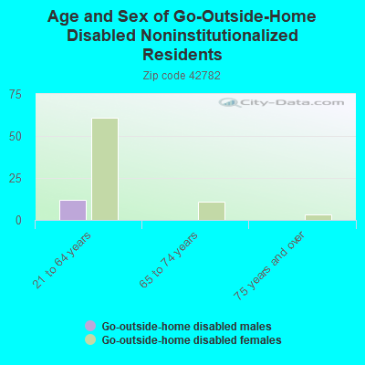 Age and Sex of Go-Outside-Home Disabled Noninstitutionalized Residents