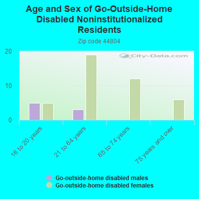 Age and Sex of Go-Outside-Home Disabled Noninstitutionalized Residents