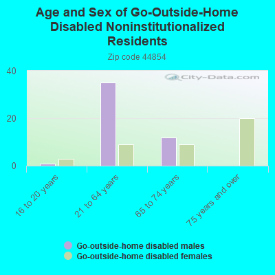 Age and Sex of Go-Outside-Home Disabled Noninstitutionalized Residents