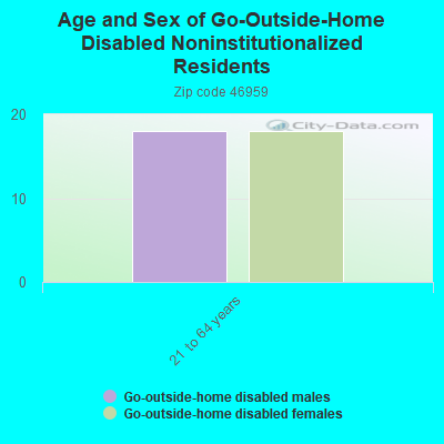 Age and Sex of Go-Outside-Home Disabled Noninstitutionalized Residents