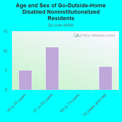 Age and Sex of Go-Outside-Home Disabled Noninstitutionalized Residents