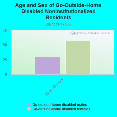 Age and Sex of Go-Outside-Home Disabled Noninstitutionalized Residents