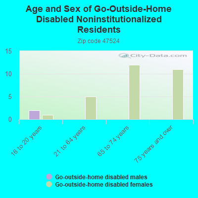 Age and Sex of Go-Outside-Home Disabled Noninstitutionalized Residents