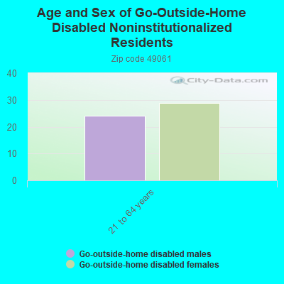 Age and Sex of Go-Outside-Home Disabled Noninstitutionalized Residents