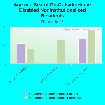 Age and Sex of Go-Outside-Home Disabled Noninstitutionalized Residents