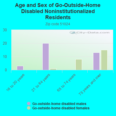 Age and Sex of Go-Outside-Home Disabled Noninstitutionalized Residents