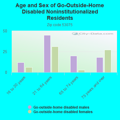 Age and Sex of Go-Outside-Home Disabled Noninstitutionalized Residents