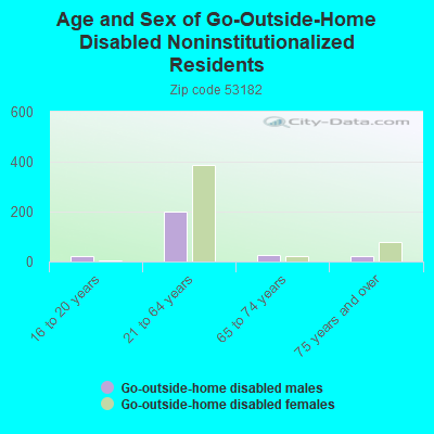 Age and Sex of Go-Outside-Home Disabled Noninstitutionalized Residents