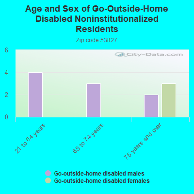 Age and Sex of Go-Outside-Home Disabled Noninstitutionalized Residents