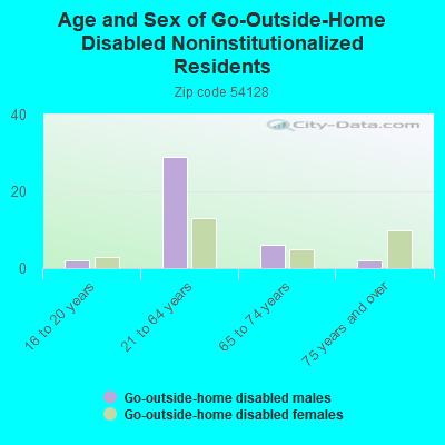 Age and Sex of Go-Outside-Home Disabled Noninstitutionalized Residents