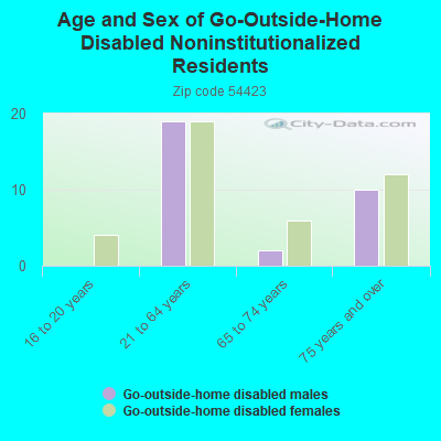 Age and Sex of Go-Outside-Home Disabled Noninstitutionalized Residents