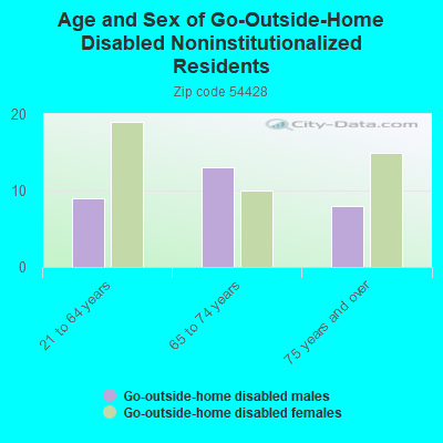 Age and Sex of Go-Outside-Home Disabled Noninstitutionalized Residents