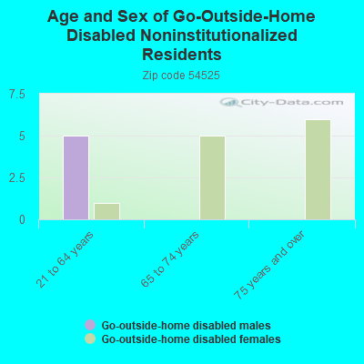 Age and Sex of Go-Outside-Home Disabled Noninstitutionalized Residents