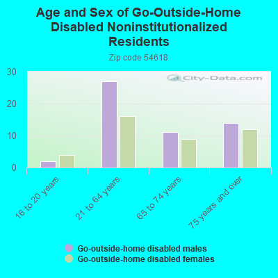 Age and Sex of Go-Outside-Home Disabled Noninstitutionalized Residents