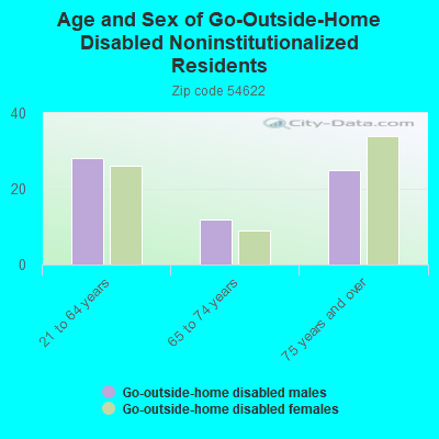 Age and Sex of Go-Outside-Home Disabled Noninstitutionalized Residents