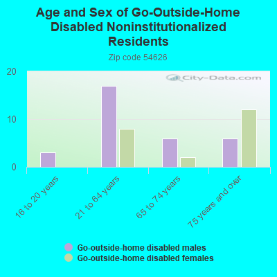 Age and Sex of Go-Outside-Home Disabled Noninstitutionalized Residents