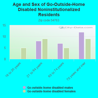 Age and Sex of Go-Outside-Home Disabled Noninstitutionalized Residents